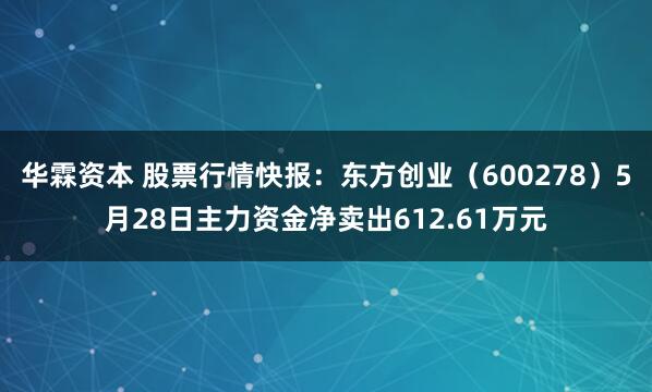 华霖资本 股票行情快报：东方创业（600278）5月28日主力资金净卖出612.61万元