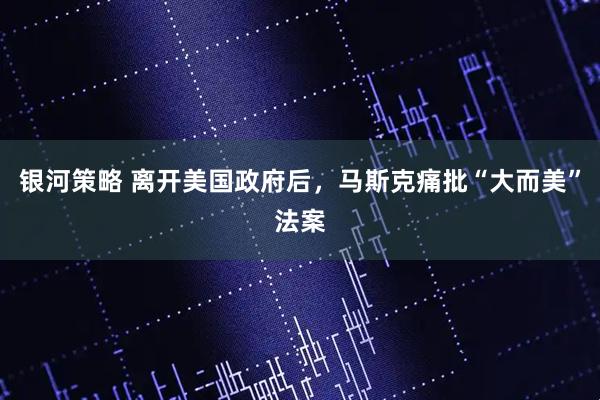 银河策略 离开美国政府后，马斯克痛批“大而美”法案