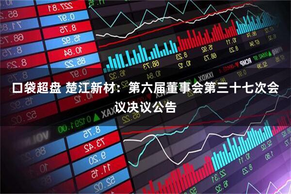 口袋超盘 楚江新材：第六届董事会第三十七次会议决议公告