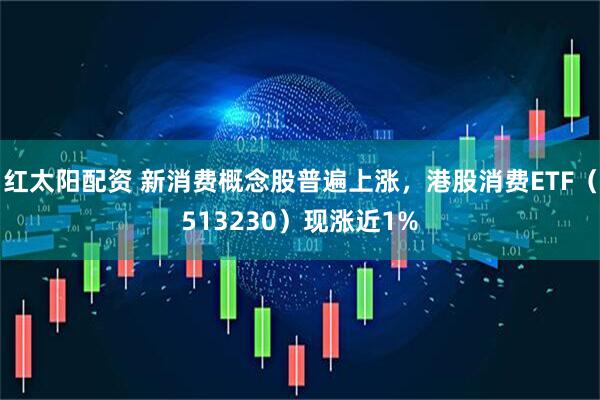 红太阳配资 新消费概念股普遍上涨，港股消费ETF（513230）现涨近1%
