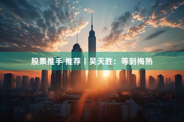 股票推手 推荐丨吴天胜：等到梅熟