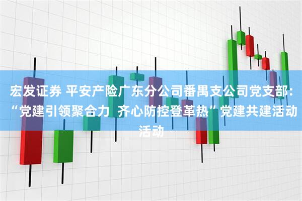 宏发证券 平安产险广东分公司番禺支公司党支部： “党建引领聚合力  齐心防控登革热”党建共建活动