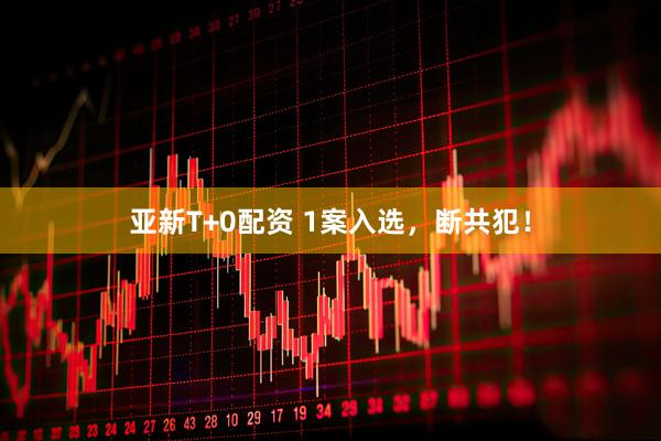 亚新T+0配资 1案入选，断共犯！