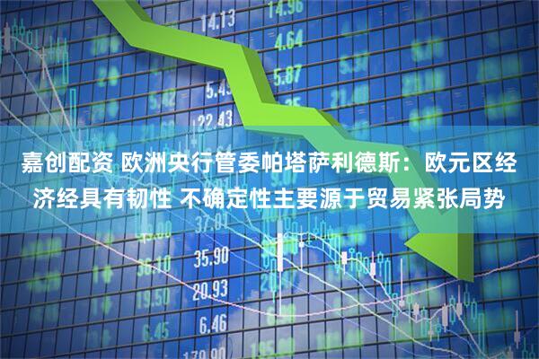 嘉创配资 欧洲央行管委帕塔萨利德斯：欧元区经济经具有韧性 不确定性主要源于贸易紧张局势