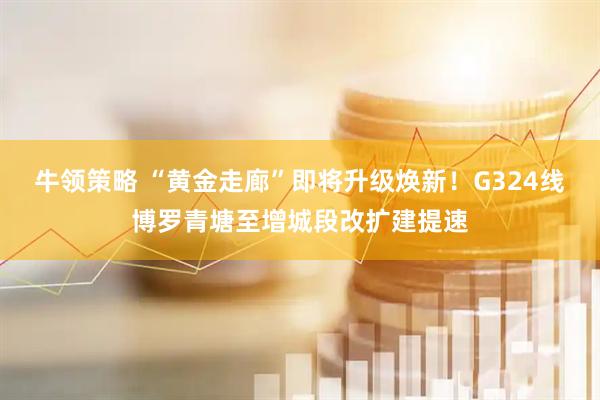 牛领策略 “黄金走廊”即将升级焕新！G324线博罗青塘至增城段改扩建提速